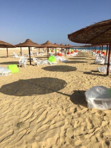 Apartment Stella Heights - Cozy 3bd With Amazing Private Garden - North Coast ستيلا هايتس الساحل الشمالي - ارضي بحديقه El Alamein